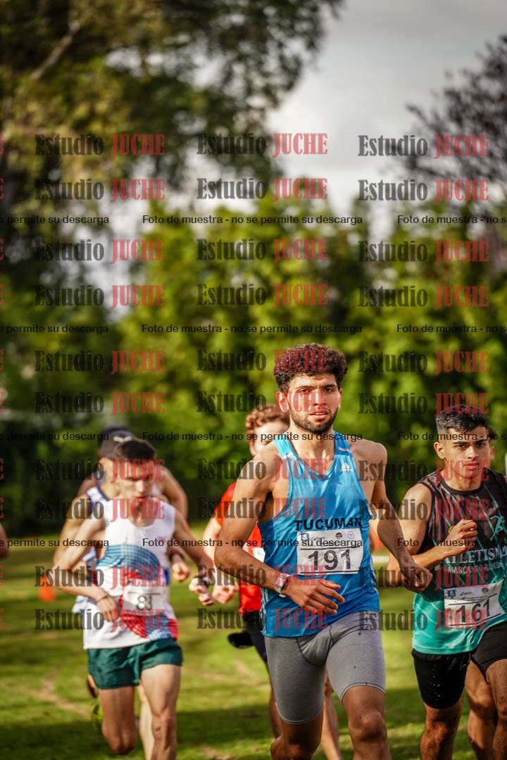 Fotos en el circuito