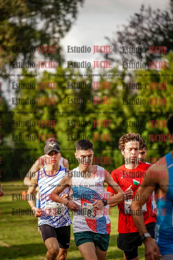 Fotos en el circuito