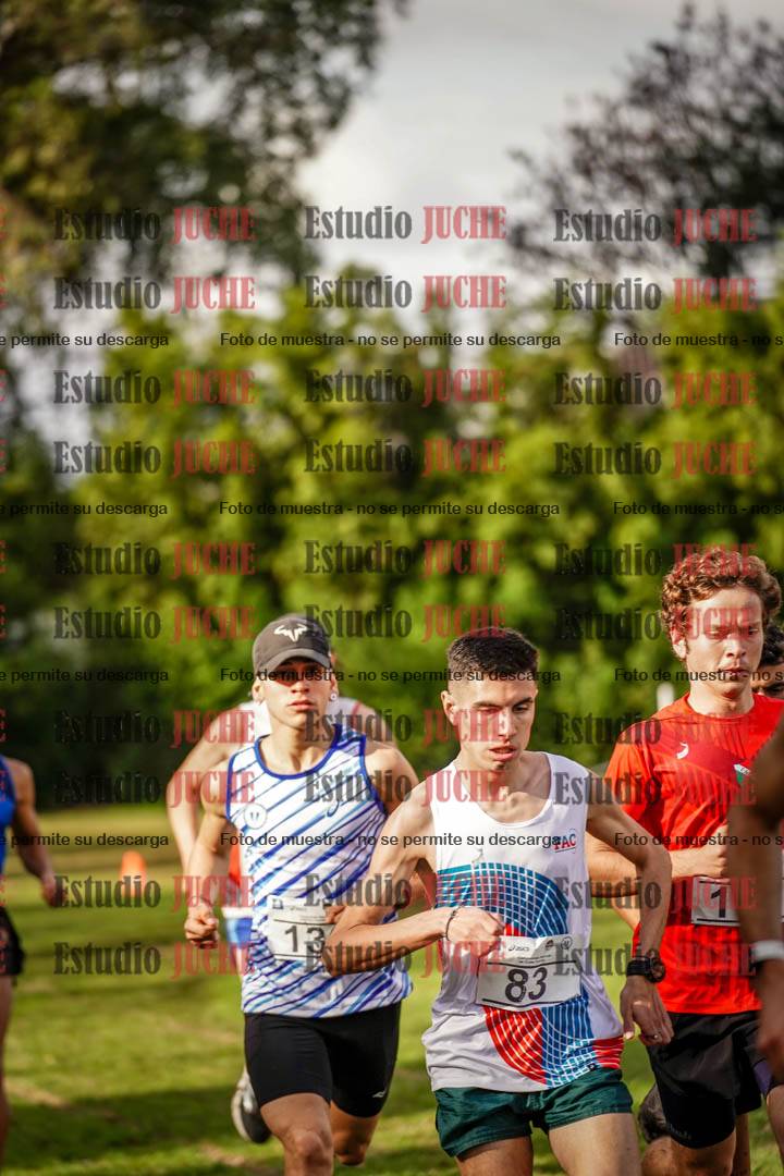 Fotos en el circuito