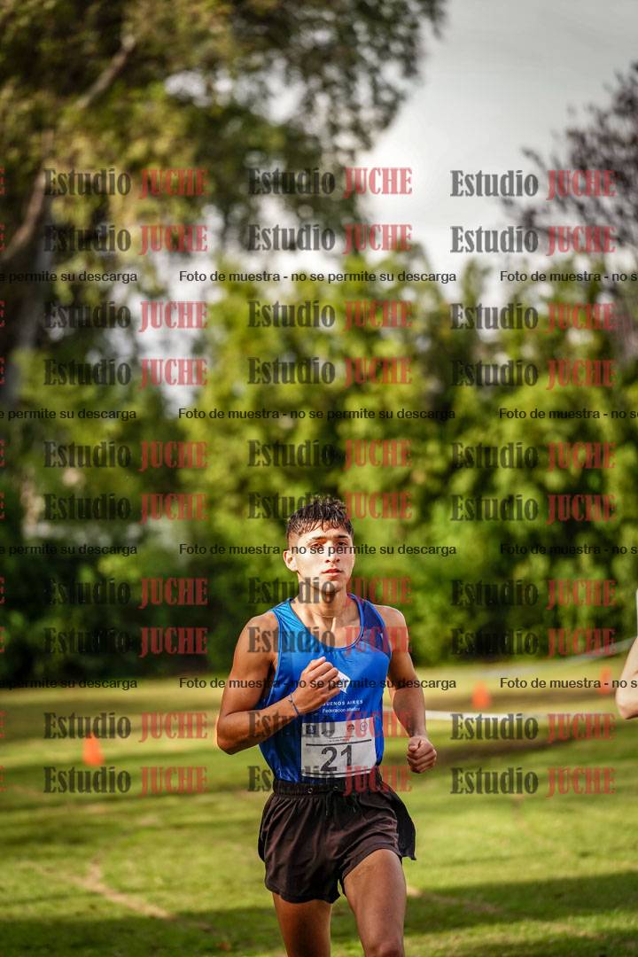 Fotos en el circuito