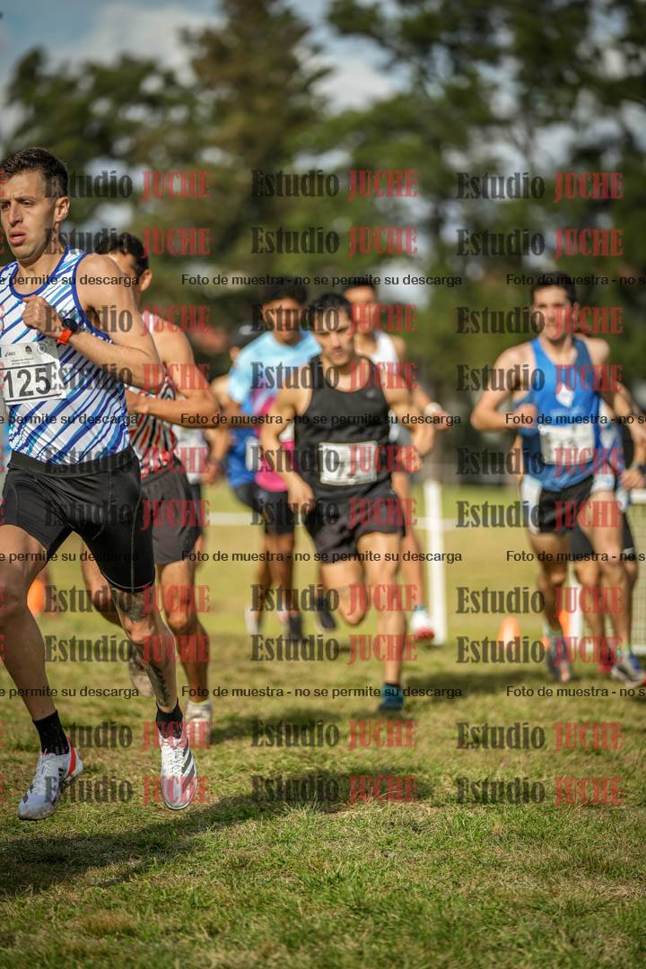 Fotos en el circuito