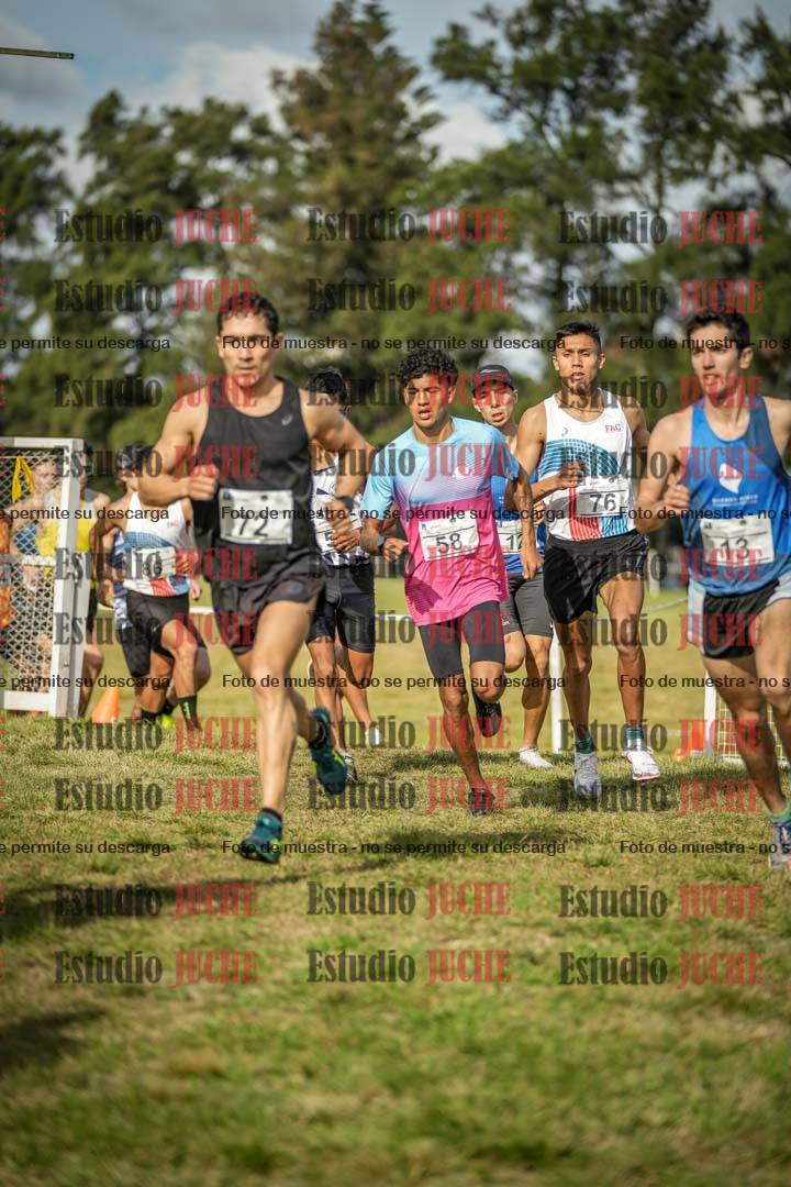 Fotos en el circuito
