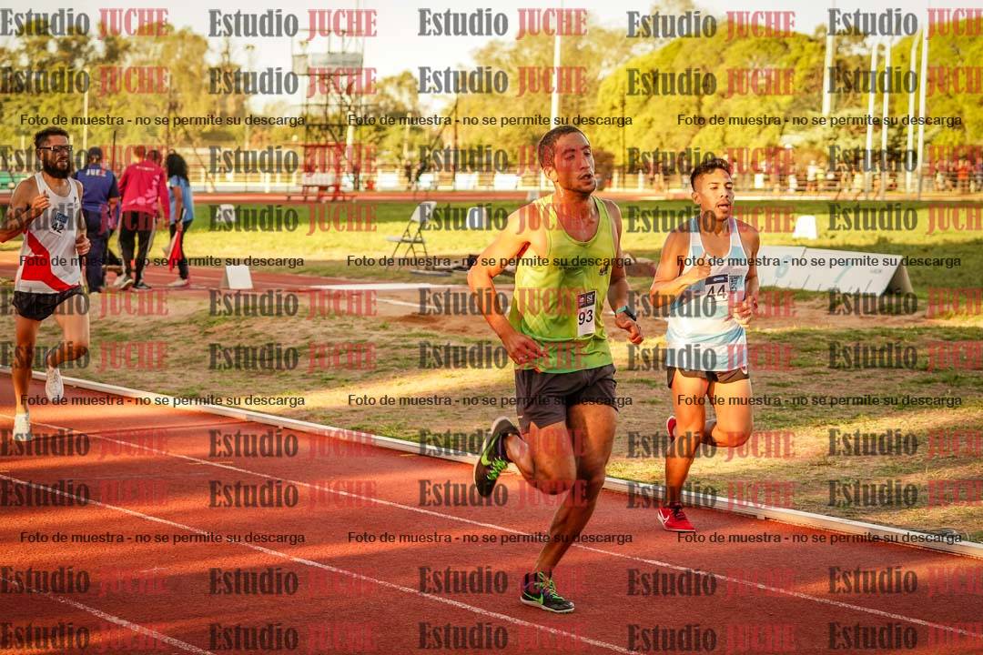Fotos de los 3000 m llanos de varones