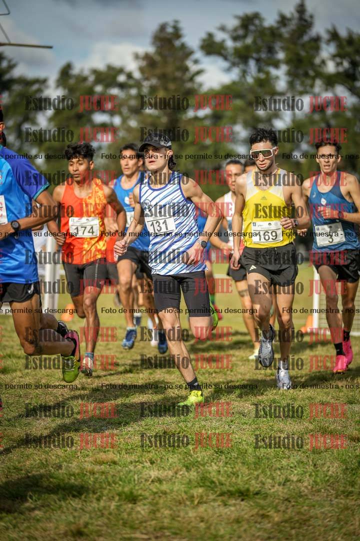 Fotos en el circuito