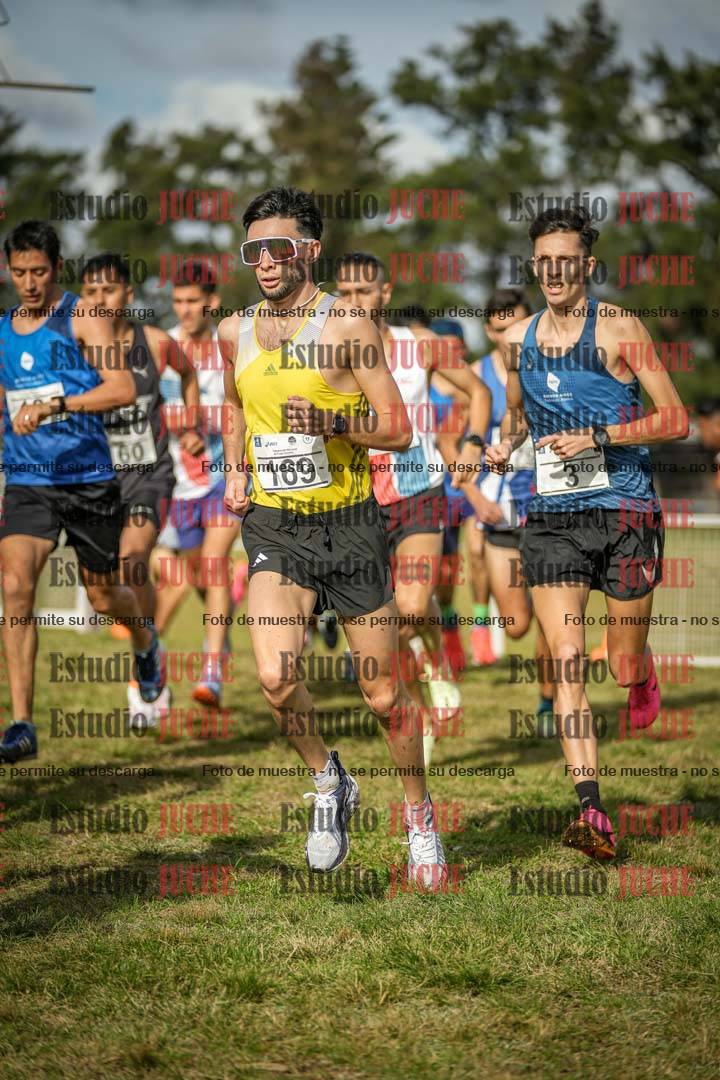 Fotos en el circuito