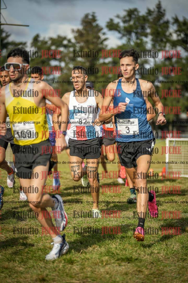 Fotos en el circuito