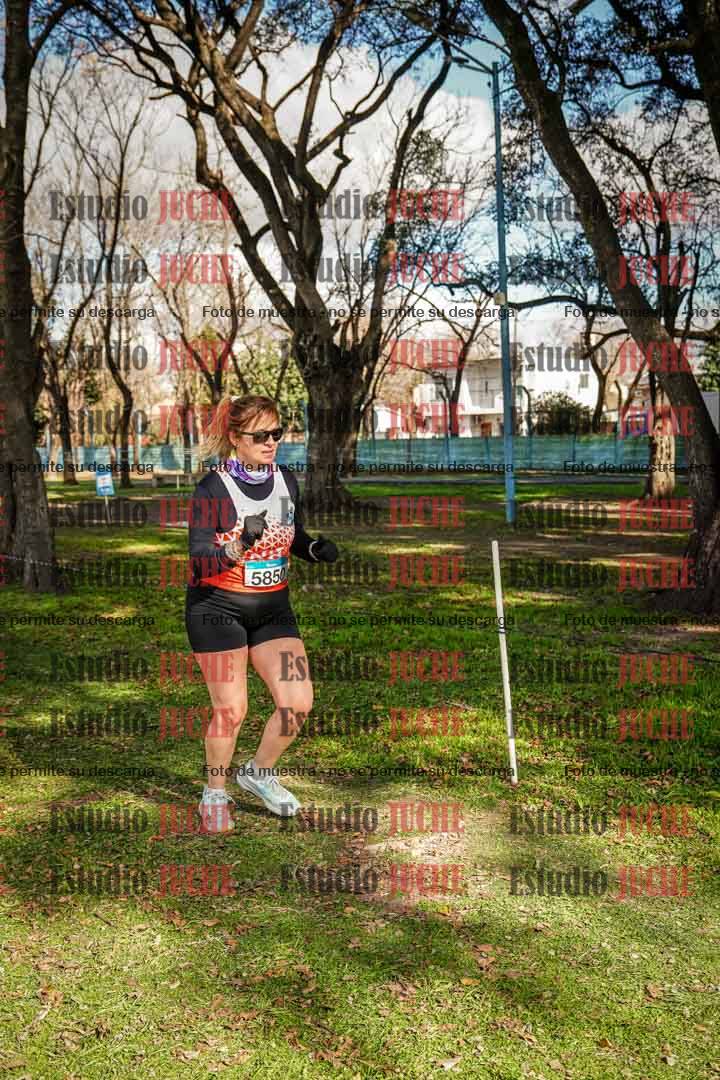 Fotos en el circuito