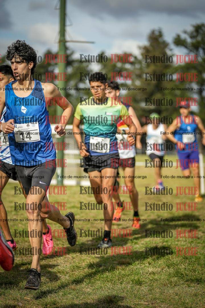 Fotos en el circuito