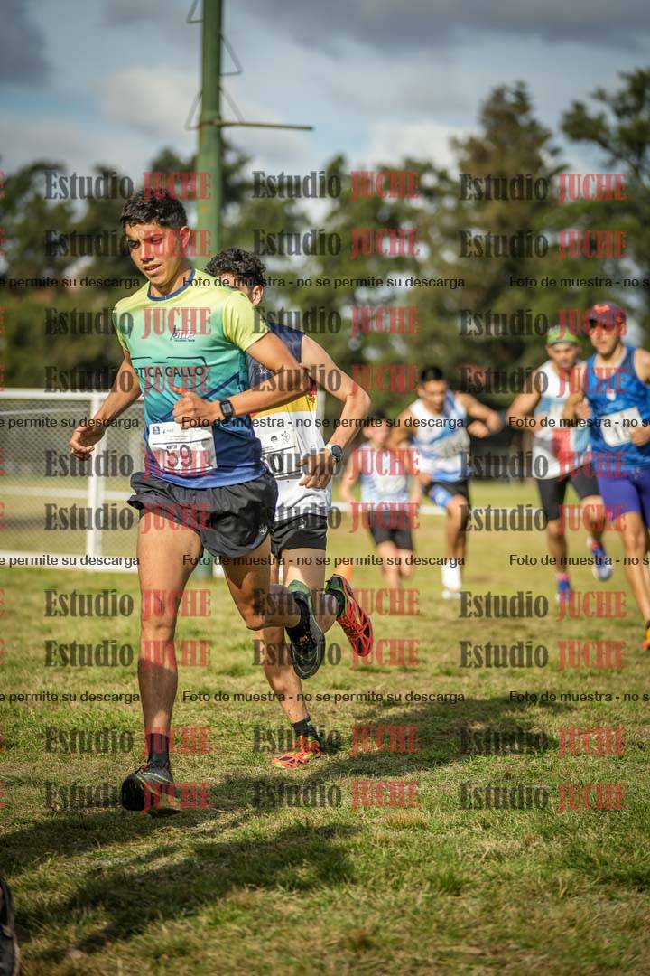 Fotos en el circuito
