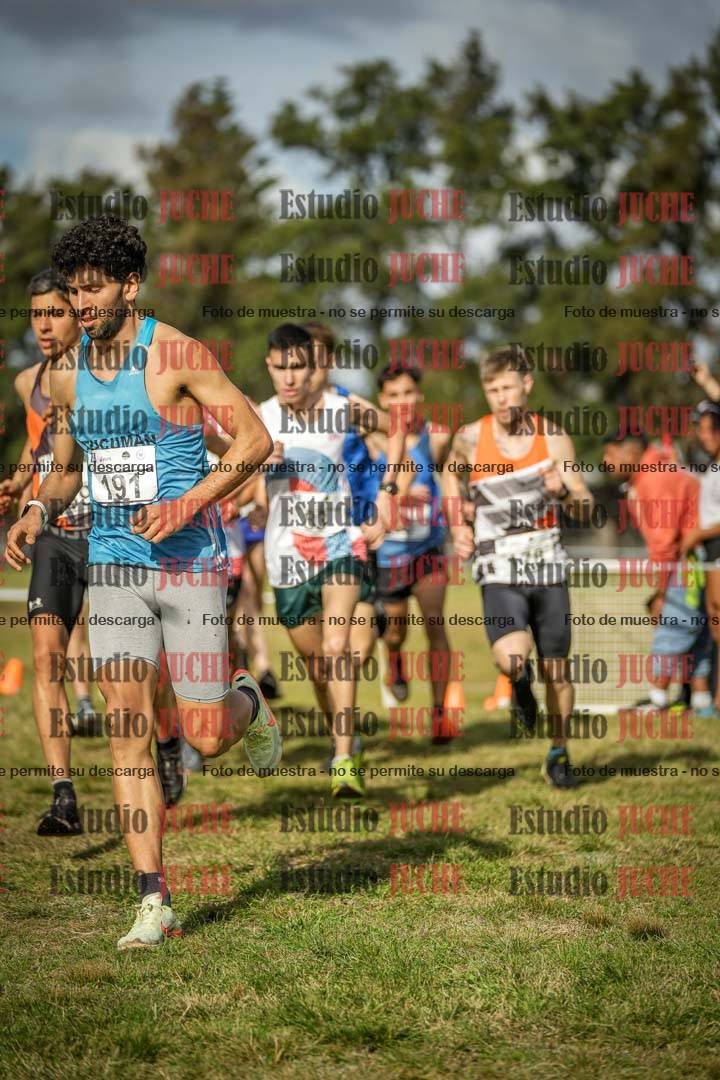 Fotos en el circuito