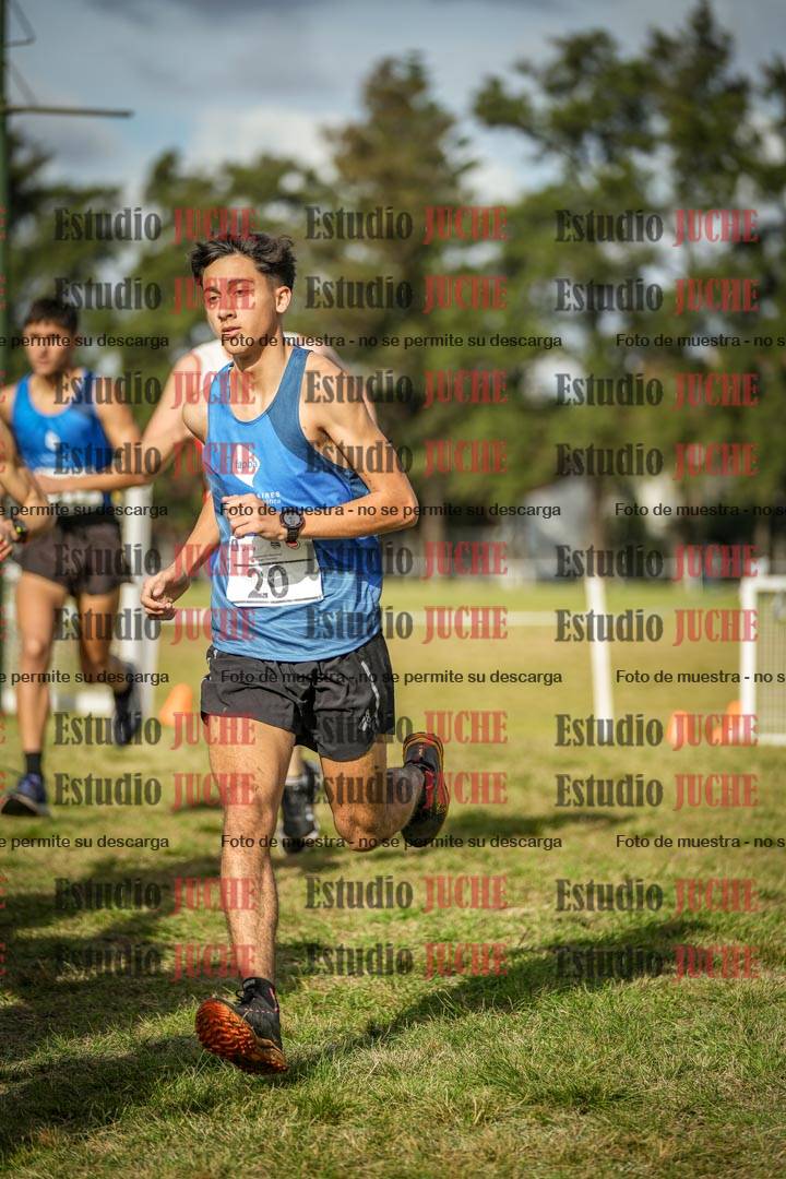 Fotos en el circuito