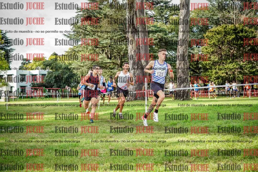 Fotos en el circuito