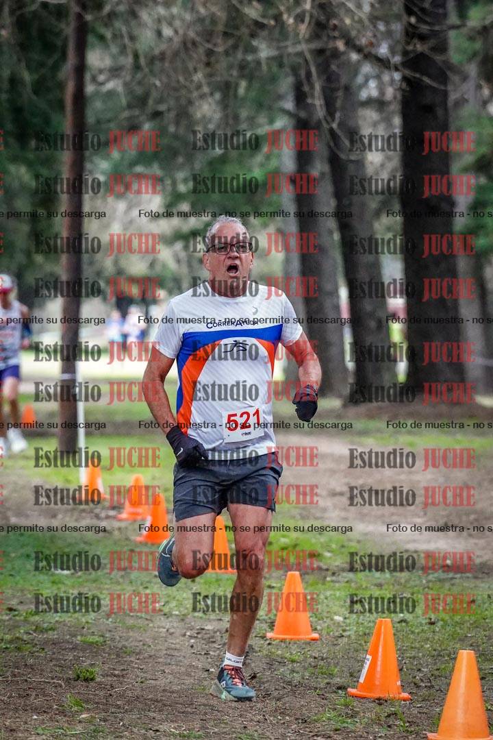 Fotos en el circuito