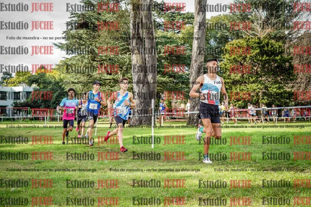 Fotos en el circuito