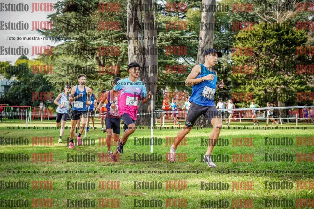 Fotos en el circuito