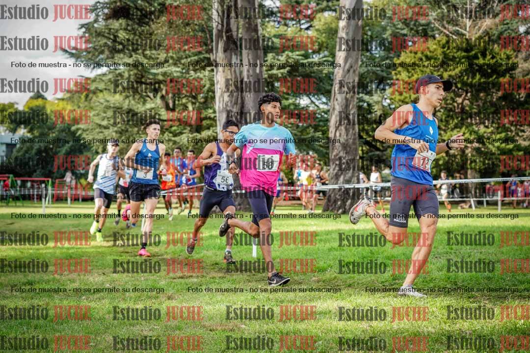 Fotos en el circuito