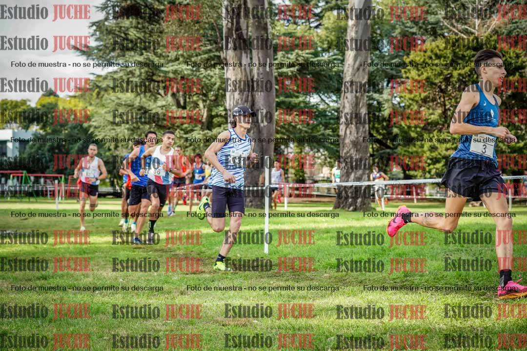 Fotos en el circuito