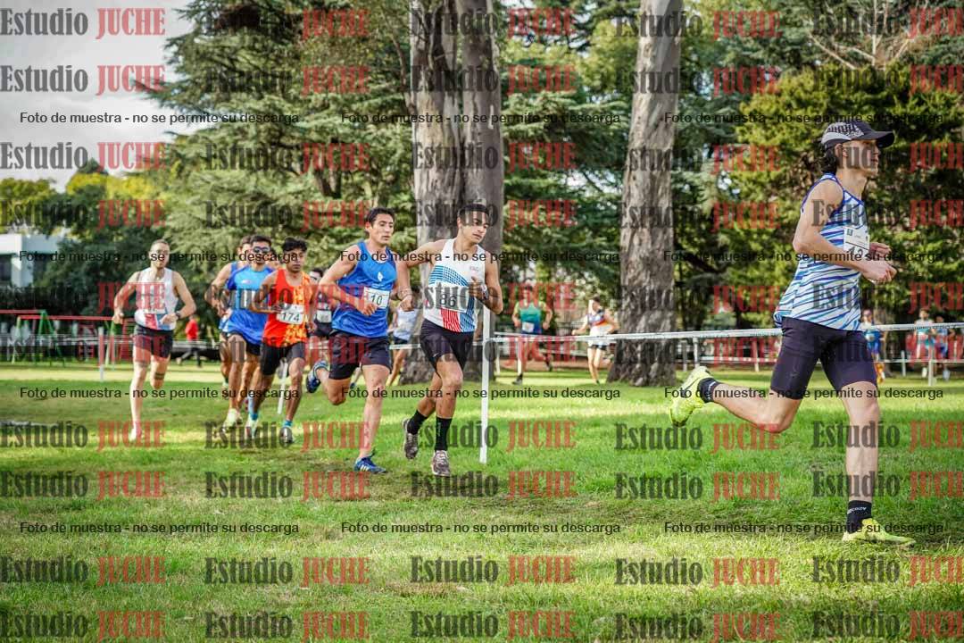 Fotos en el circuito