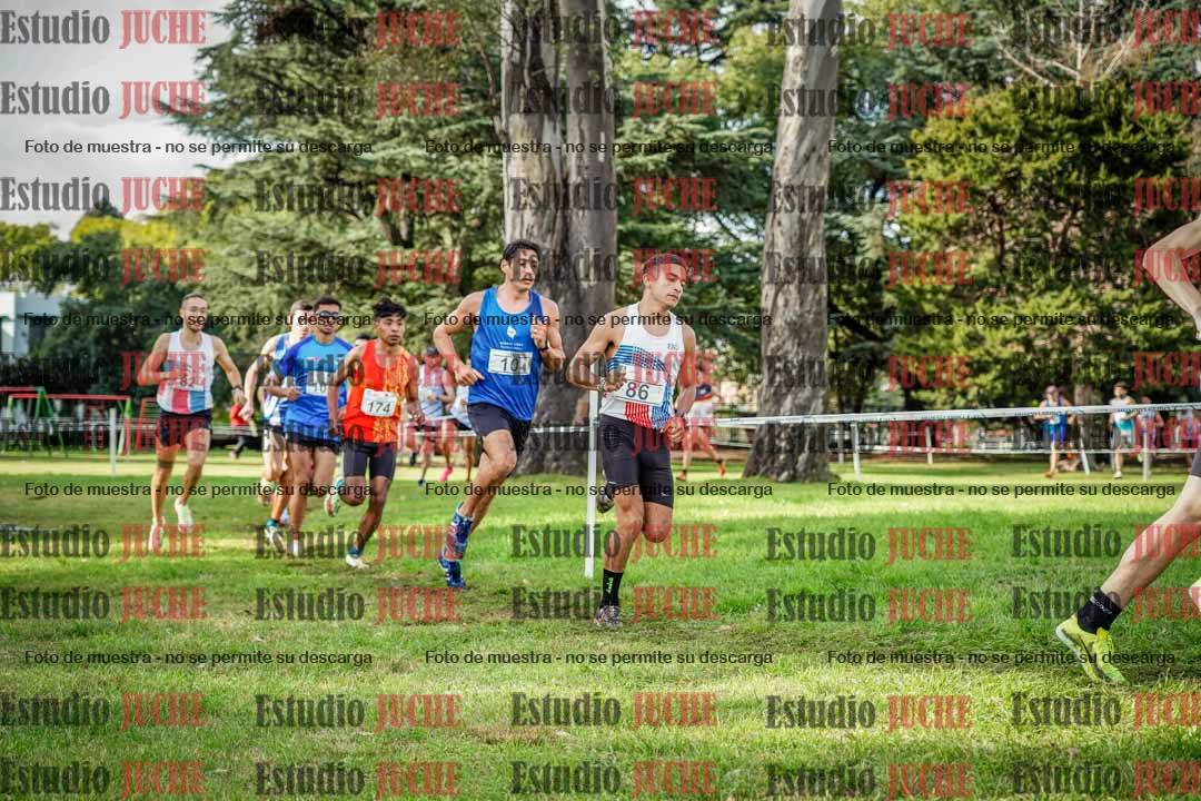 Fotos en el circuito