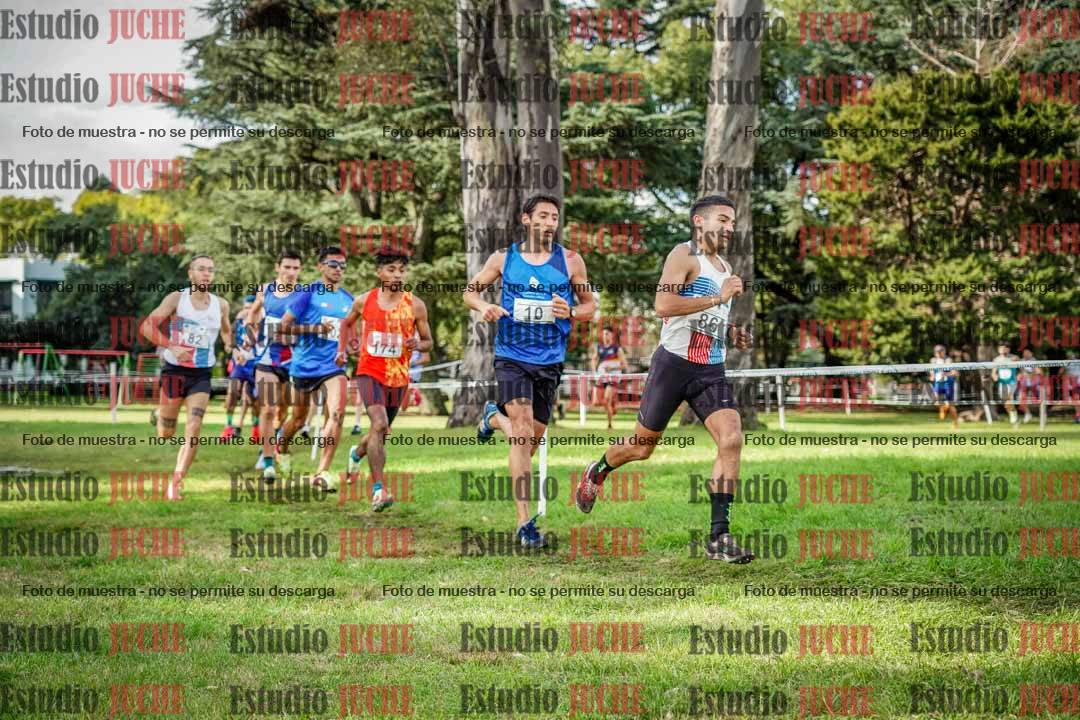 Fotos en el circuito
