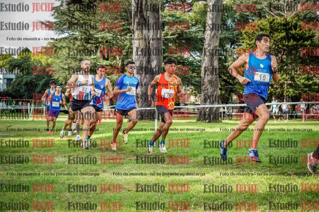 Fotos en el circuito
