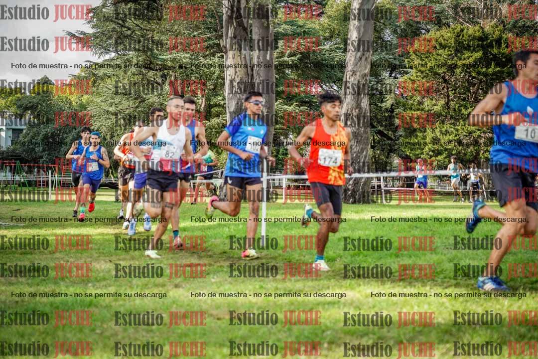 Fotos en el circuito