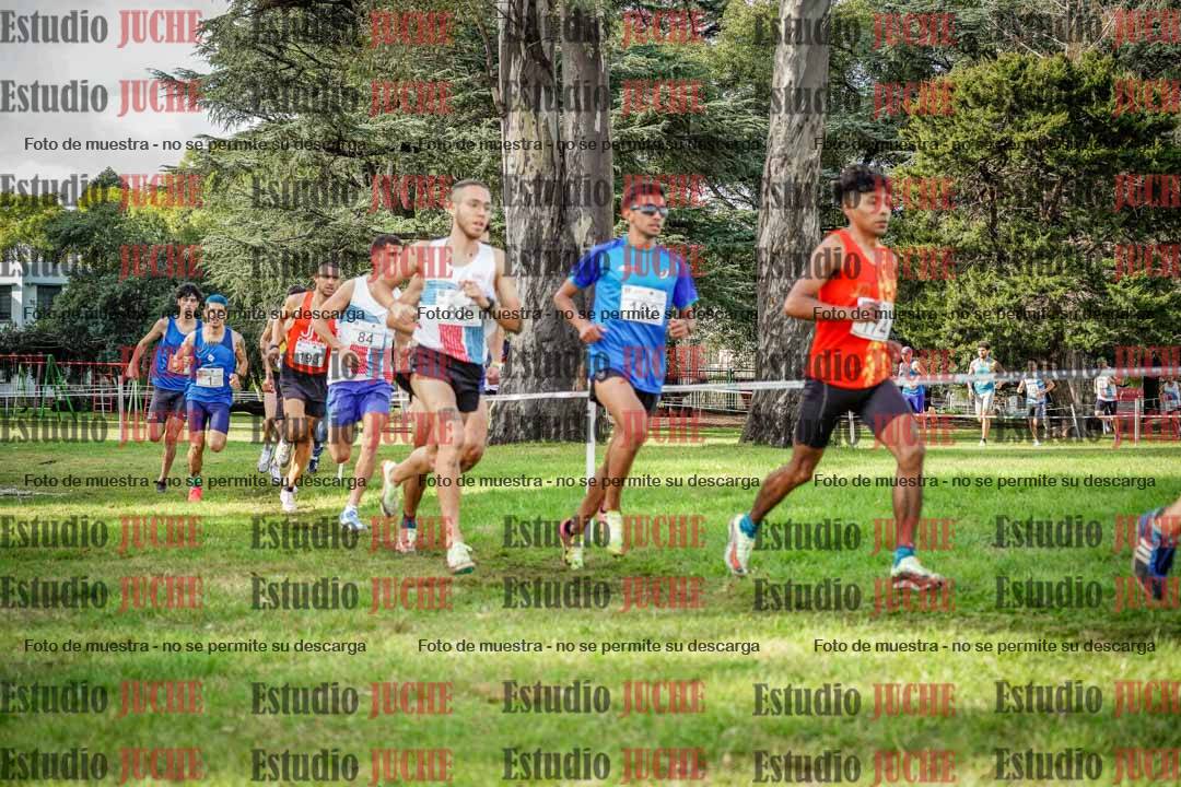 Fotos en el circuito