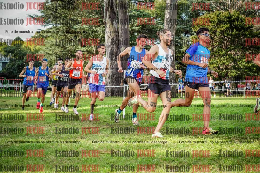 Fotos en el circuito