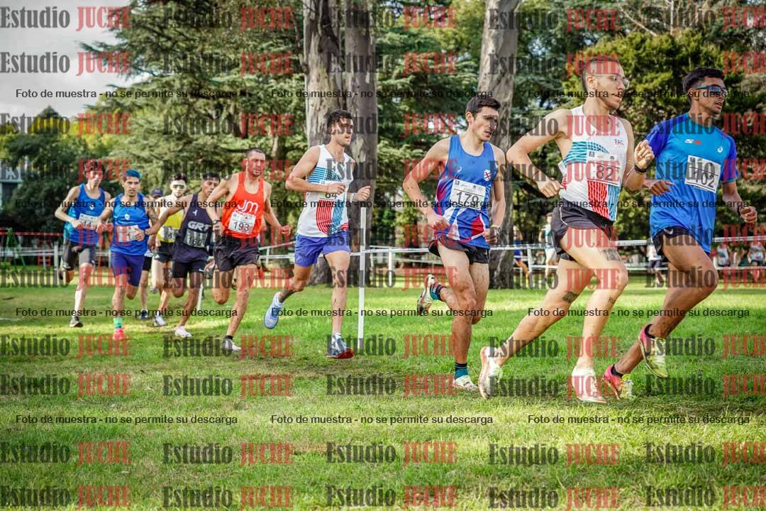 Fotos en el circuito