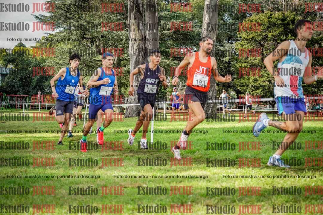 Fotos en el circuito