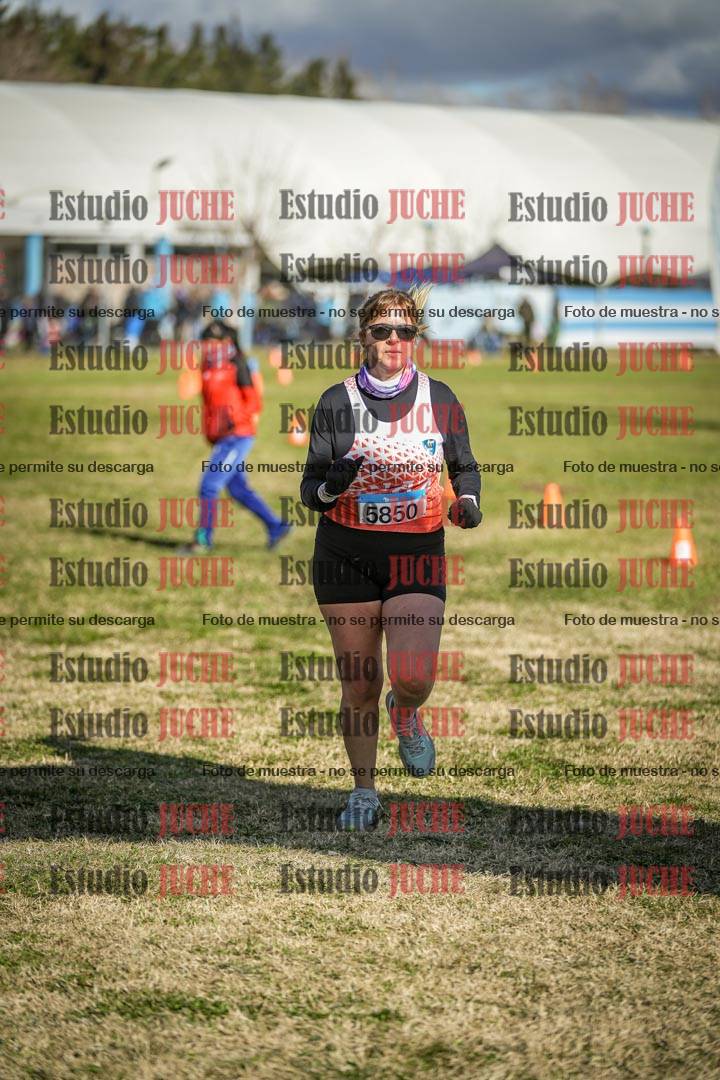 Fotos de las llegadas