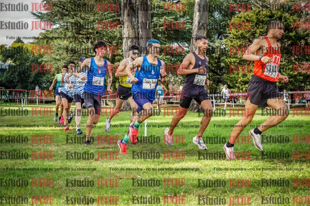Fotos en el circuito