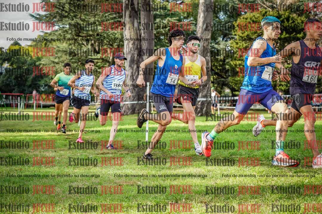 Fotos en el circuito