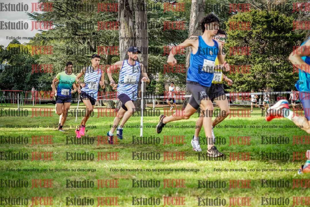 Fotos en el circuito
