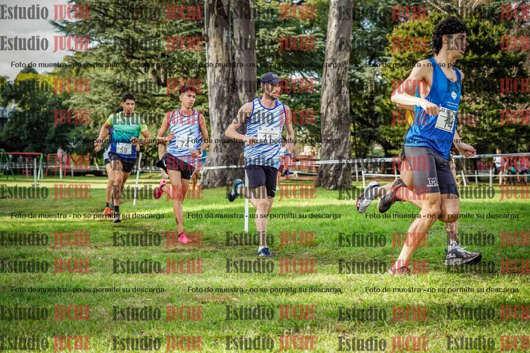 Fotos en el circuito