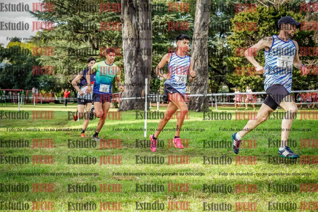 Fotos en el circuito