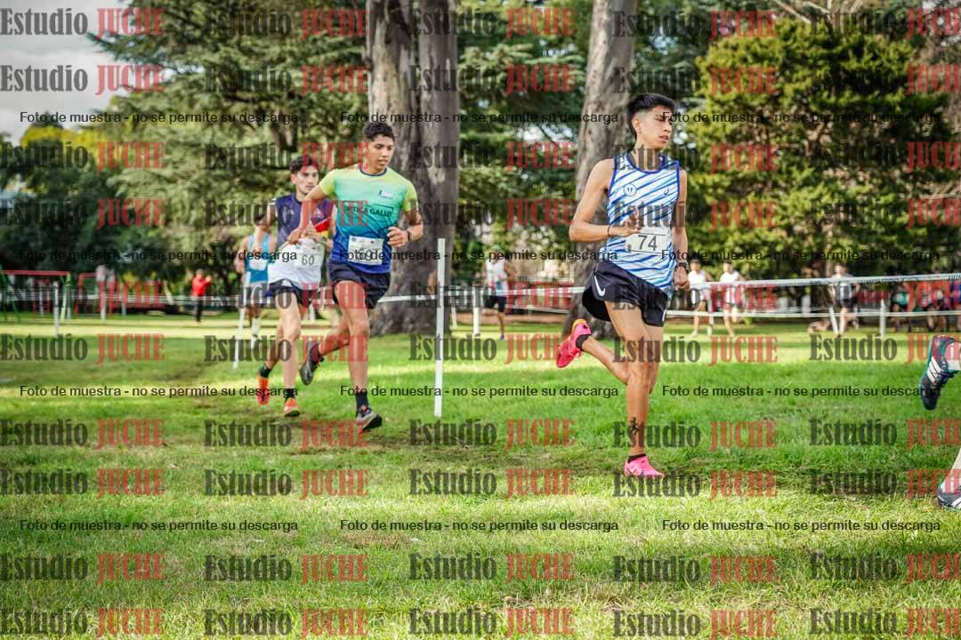 Fotos en el circuito