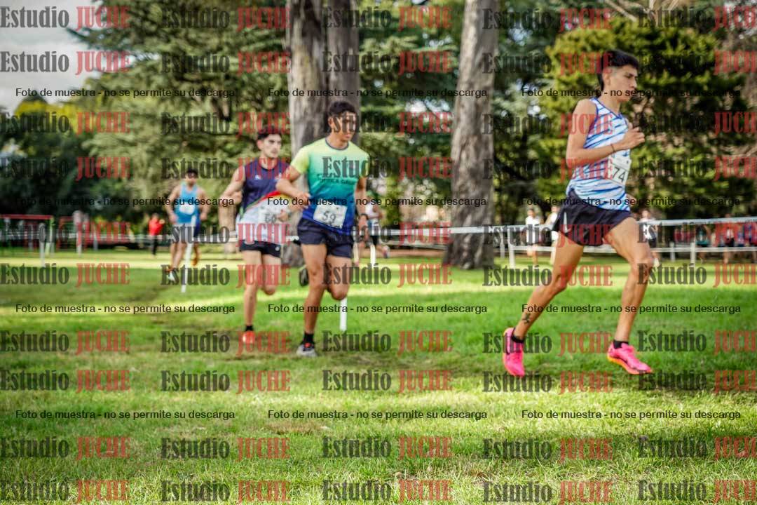 Fotos en el circuito