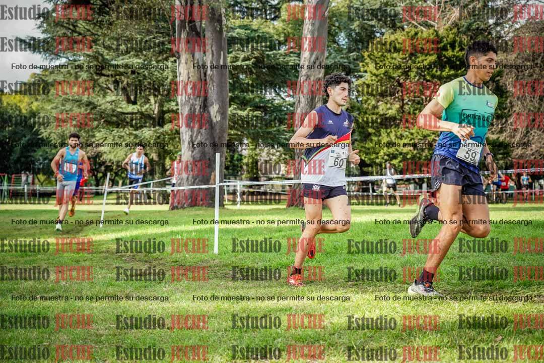 Fotos en el circuito