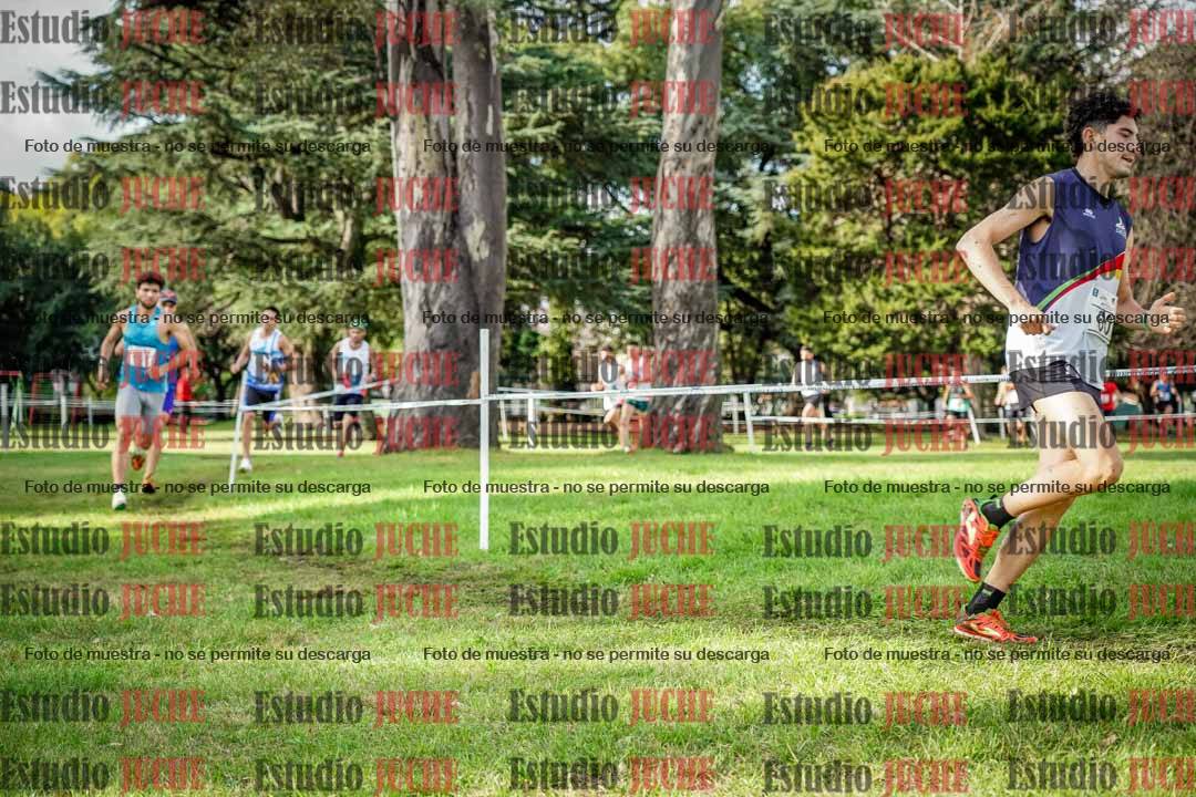 Fotos en el circuito