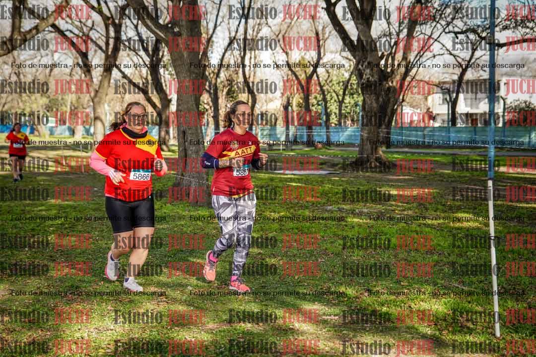 Fotos en el circuito