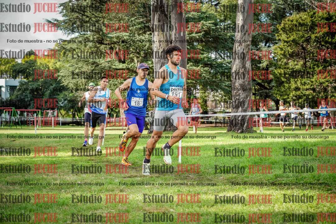 Fotos en el circuito