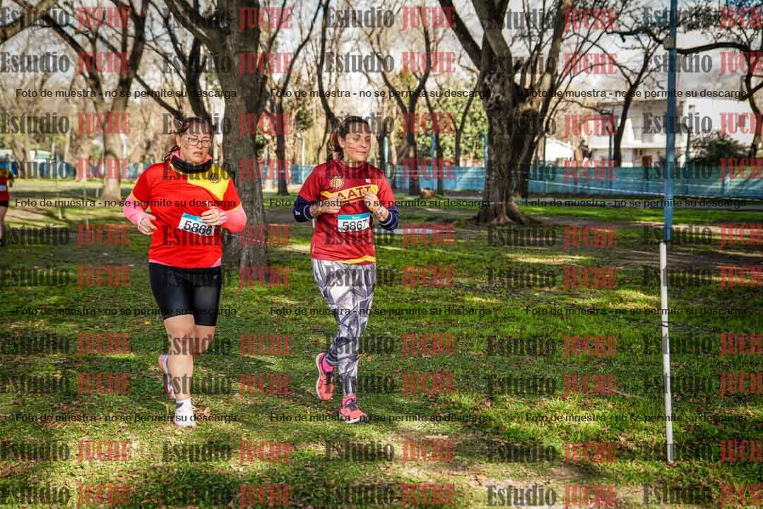 Fotos en el circuito