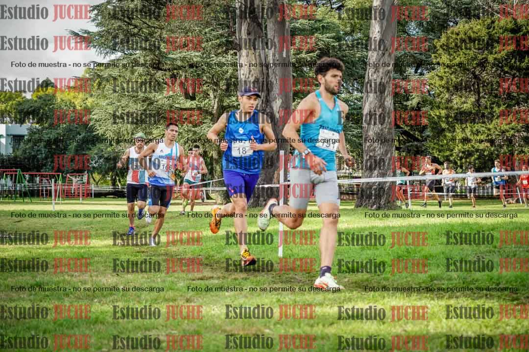 Fotos en el circuito
