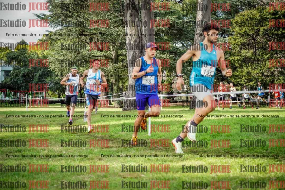 Fotos en el circuito