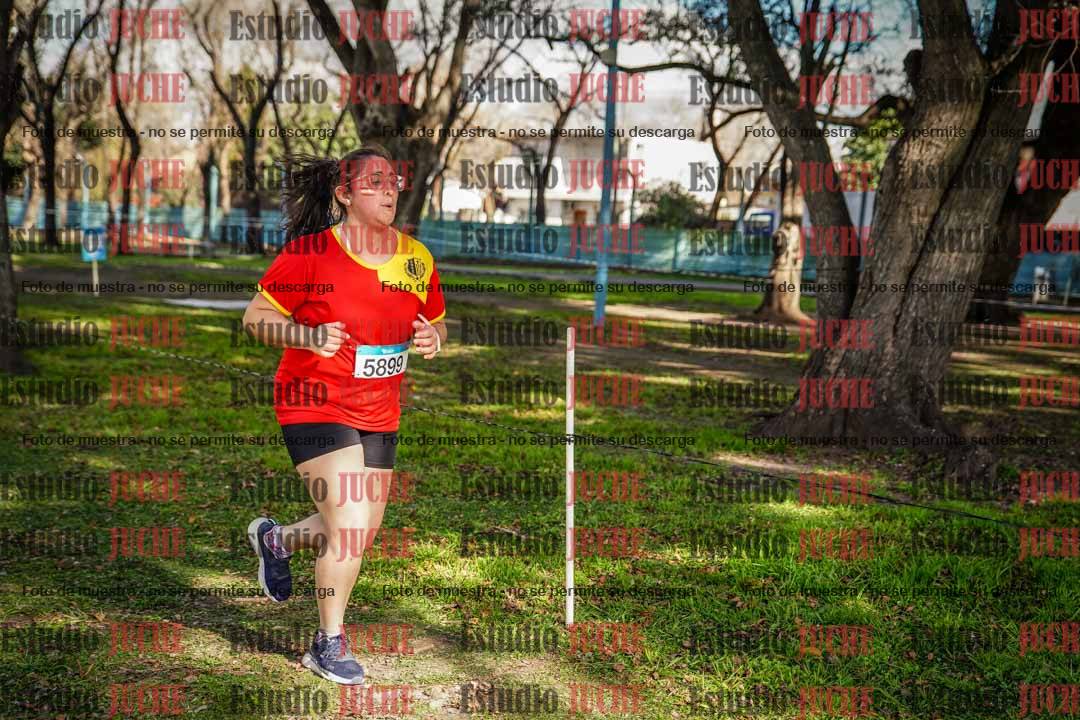 Fotos en el circuito