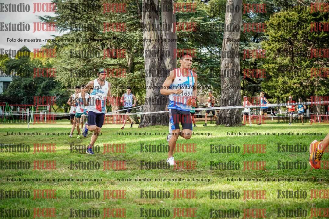 Fotos en el circuito