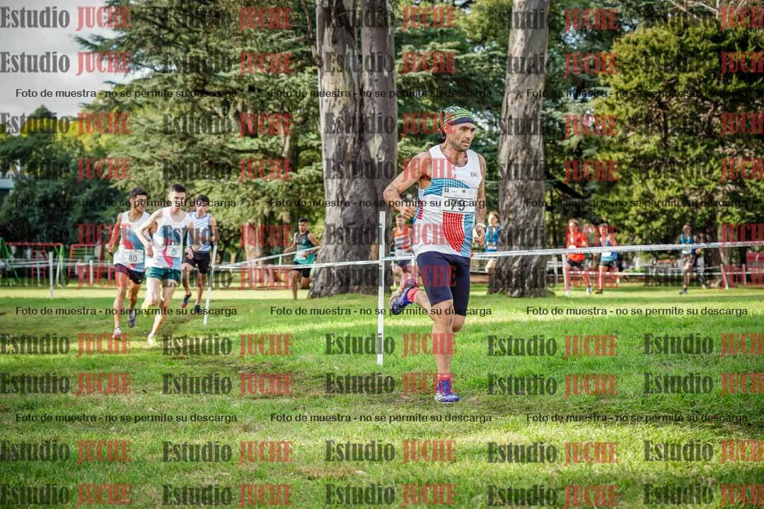 Fotos en el circuito