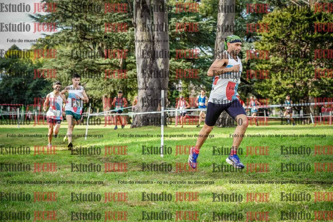 Fotos en el circuito
