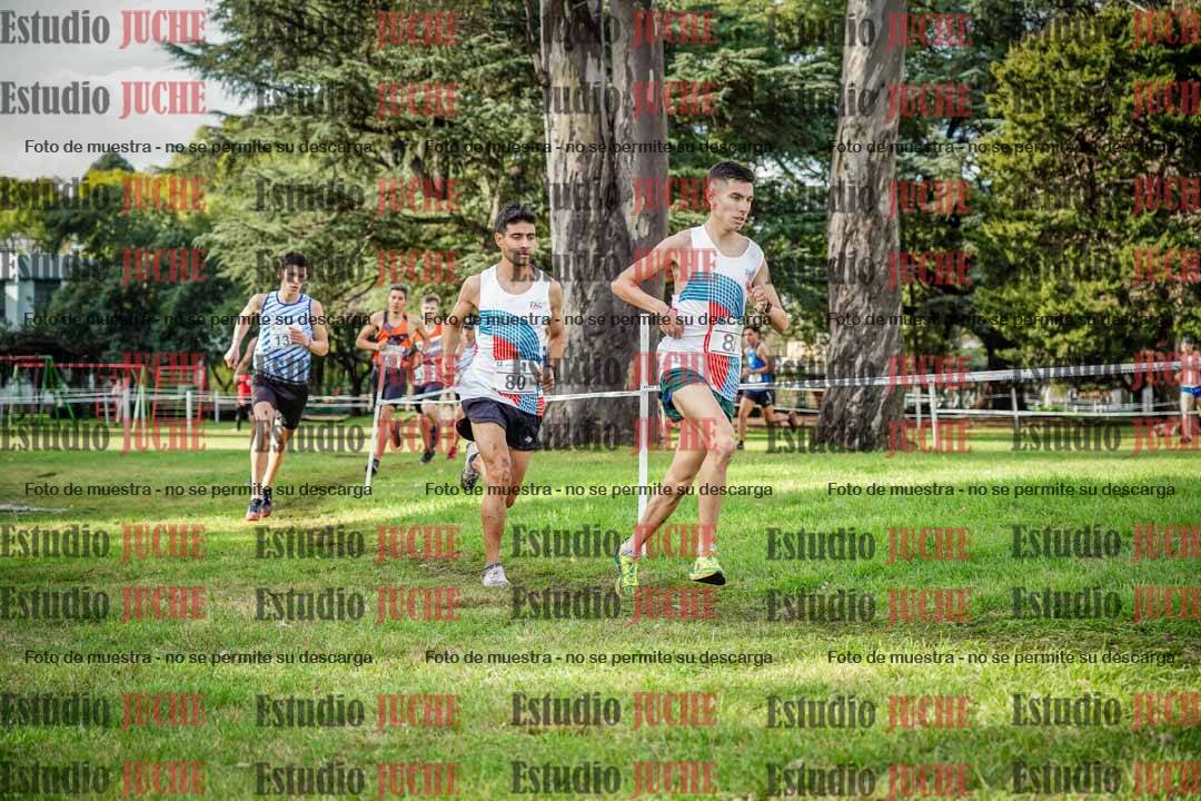 Fotos en el circuito